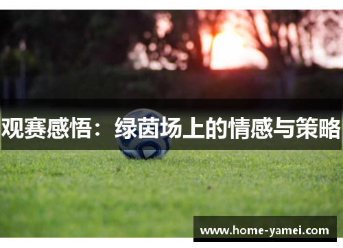 观赛感悟：绿茵场上的情感与策略